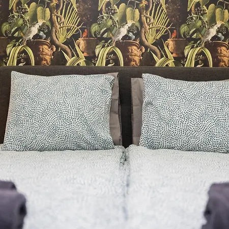 Nova Διαμέρισμα *